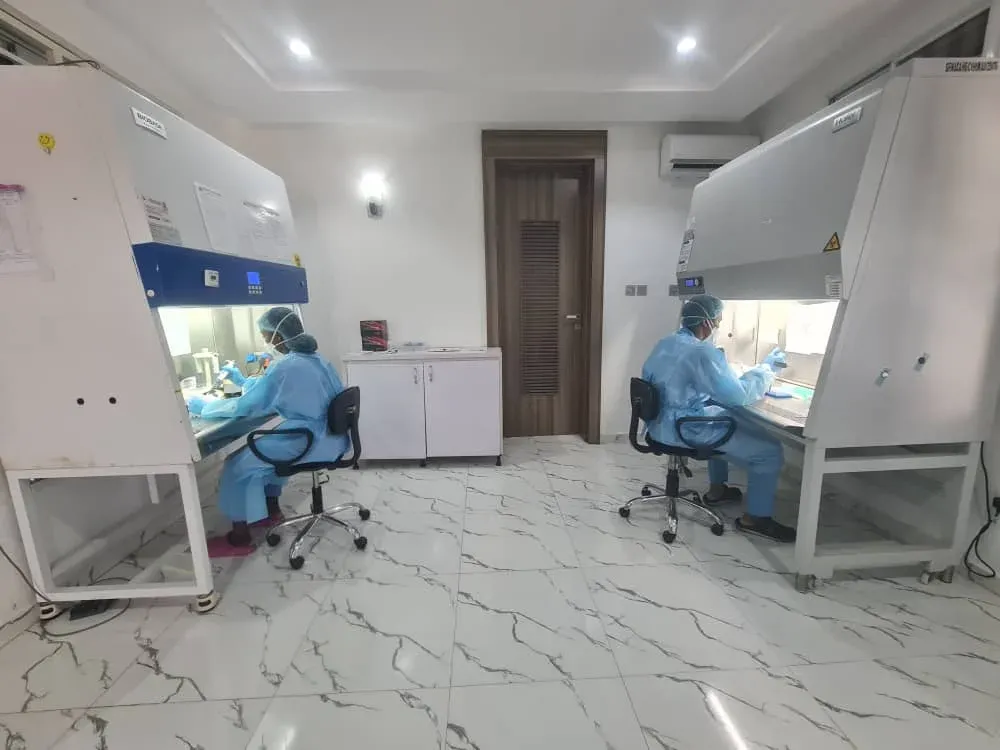 Two laboratory scientists working at biosafety cabinets in a Nigerian diagnostic laboratory.